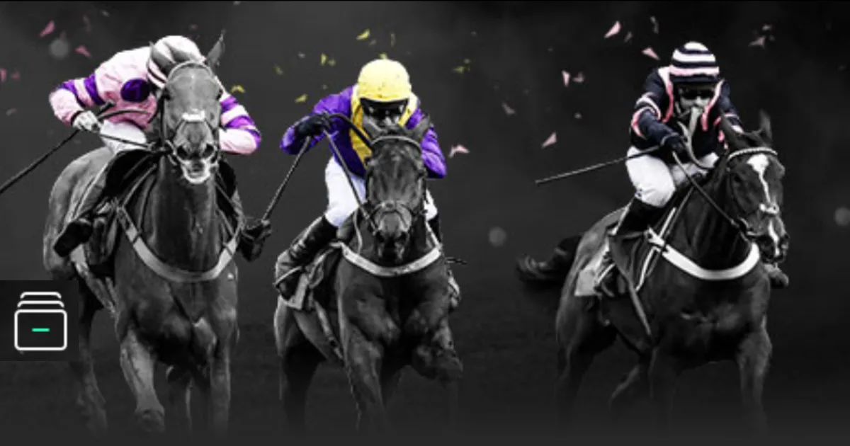 纽卡球员丹,伯恩幼年不,幸丧失手指,世界杯竞猜,2026世界杯,竞猜技巧,赛事分析,热门球队