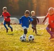 潘伟力称,塞鸟,月中旬手续,世界杯竞猜,2026世界杯,竞猜技巧,赛事分析,热门球队