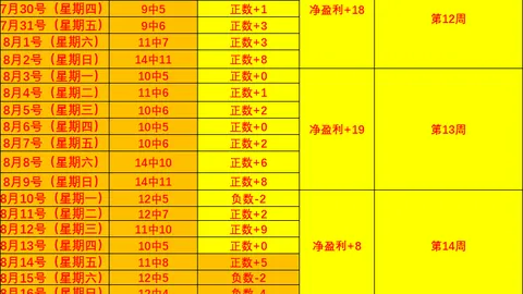 2026中超赛事8月28日周五夜战bob娱乐：深圳新鹏城上海海港，终极对决前瞻